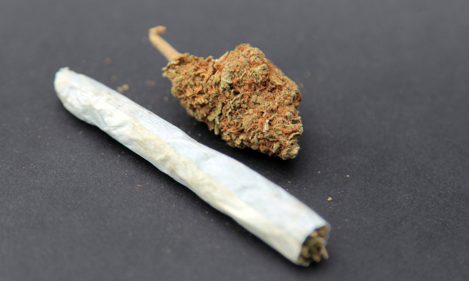 The Fruity Appeal of Gushers Cannabis
