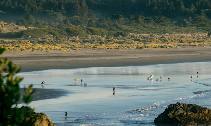 Photo by Ryan Nalbach via Unsplash