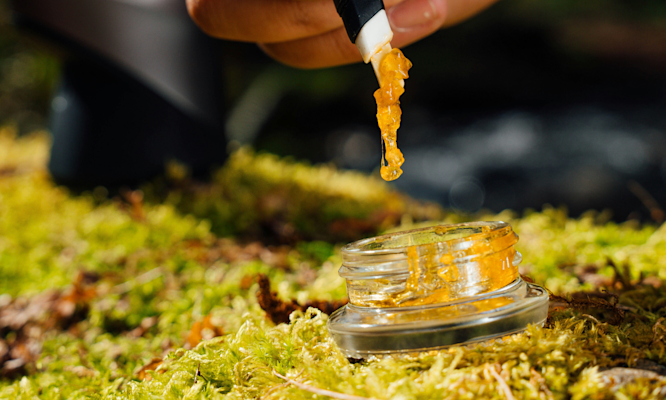 Which Dabbing Device Wins? Nectar Collectors vs Dab Rigs Tested