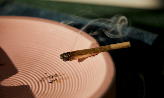 Blunt vs Joint Complete Breakdown of Materials, Size and Burn Time