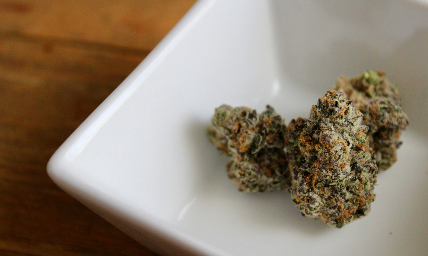Oreoz Strain Guide: The Premium Dessert Cannabis Experience
