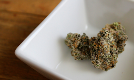 Oreoz Strain Guide: The Premium Dessert Cannabis Experience