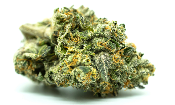 How Bubble Hash Becomes Rosin with 60-90% THC and Full Terpene Profiles