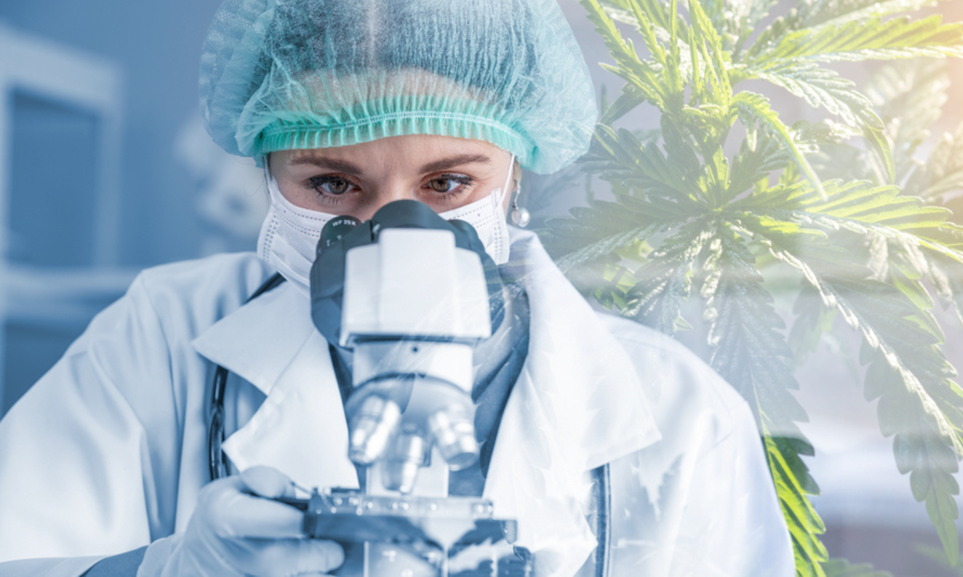 Cannabis Equipment Tariffs The Complete 2025 Cost Impact Analysis for Every Category