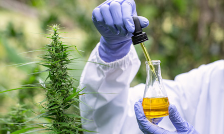 Different Types of Cannabis Extraction Methods: How They Work