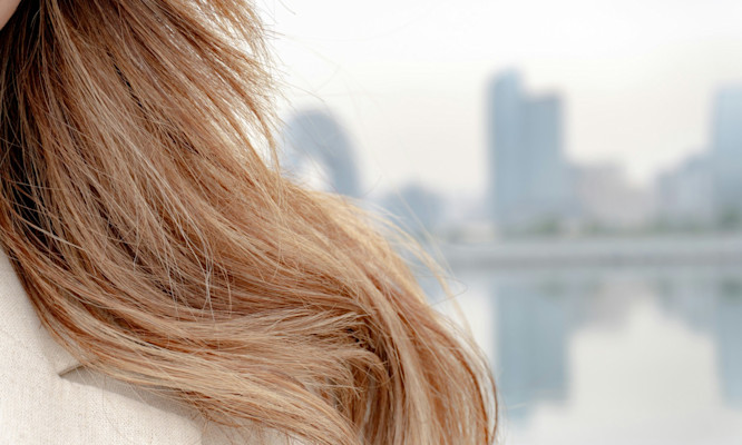 Hair Follicle Test THC Detection Windows and What Your Results Really Mean