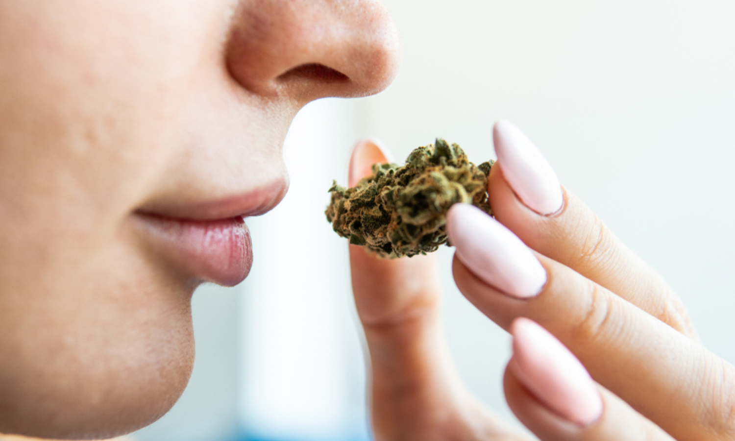 Does Delta-8 Smell Like Weed? Product Types and Their Aromas Explained