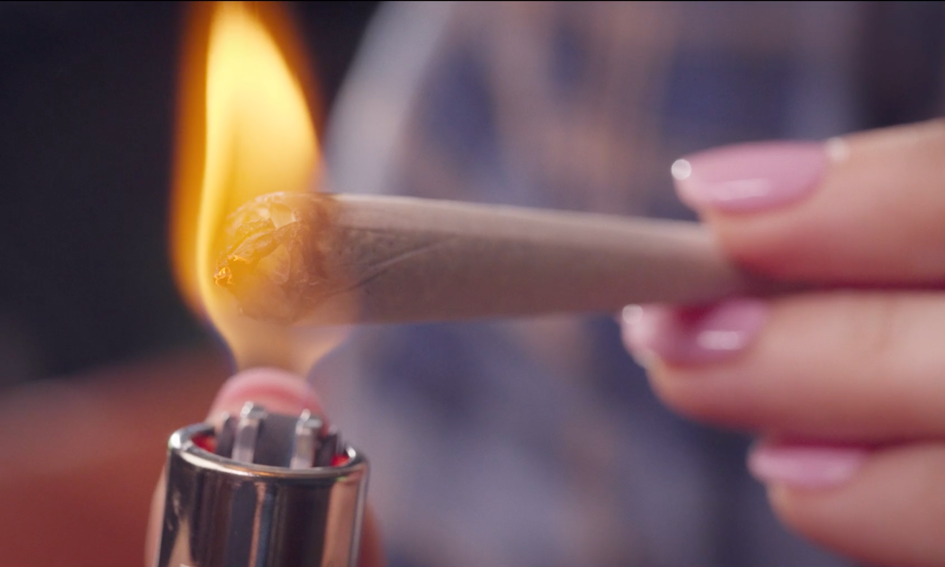 Blunts vs Joints: What Are The Differences?