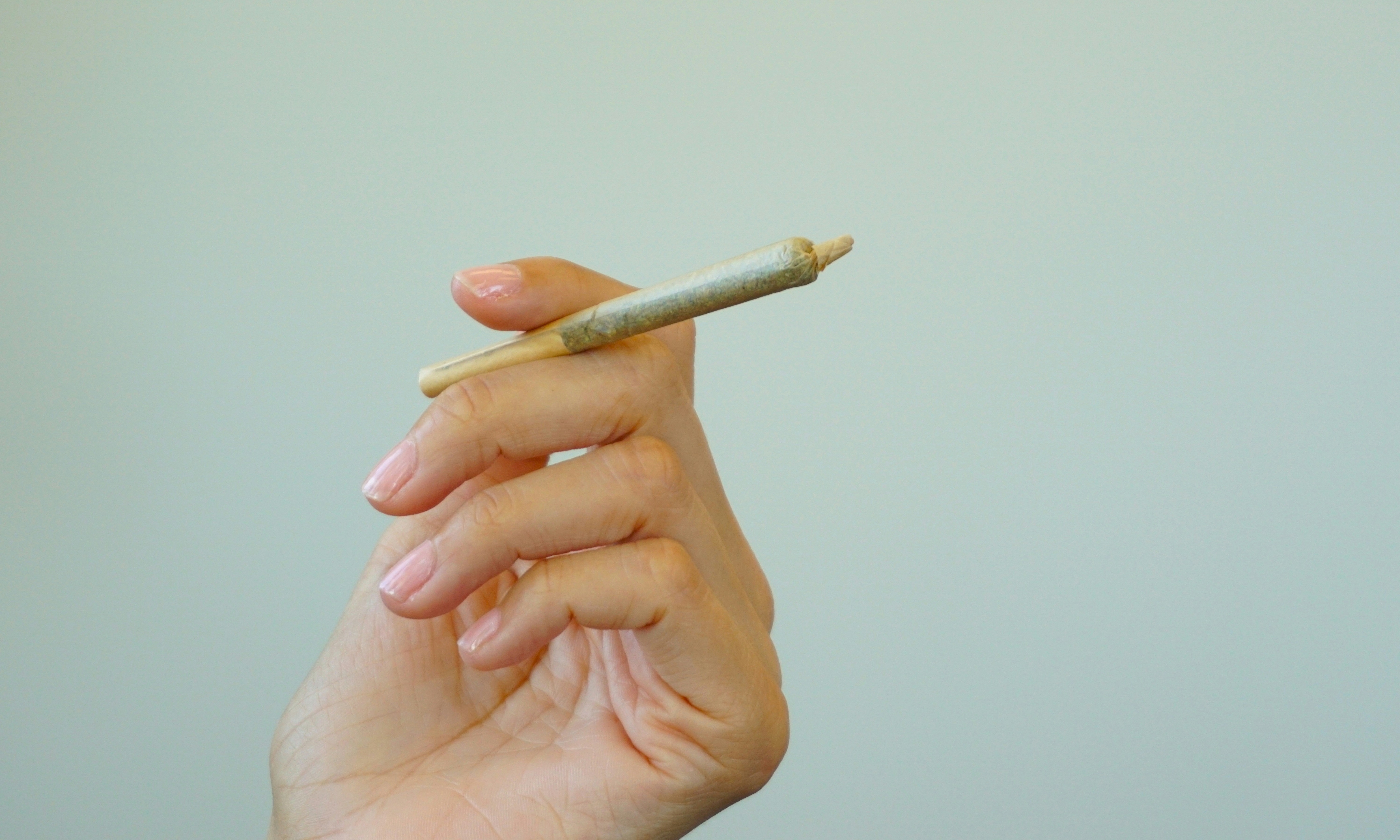 Weed Glossary: Cannabis Terms You Need To Know