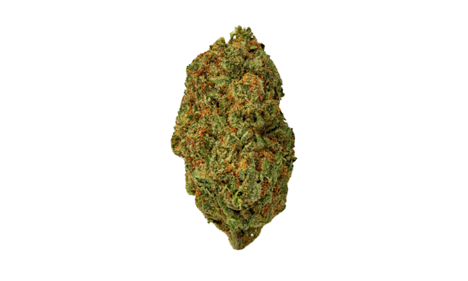 Super Lemon Haze Strain Information for Cannabis Lovers