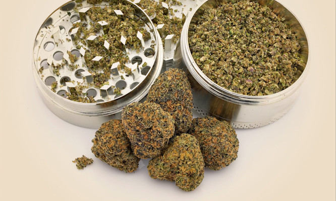 How Mood’s Rainbow Runtz Strain Took My Chill Session to the Next Level