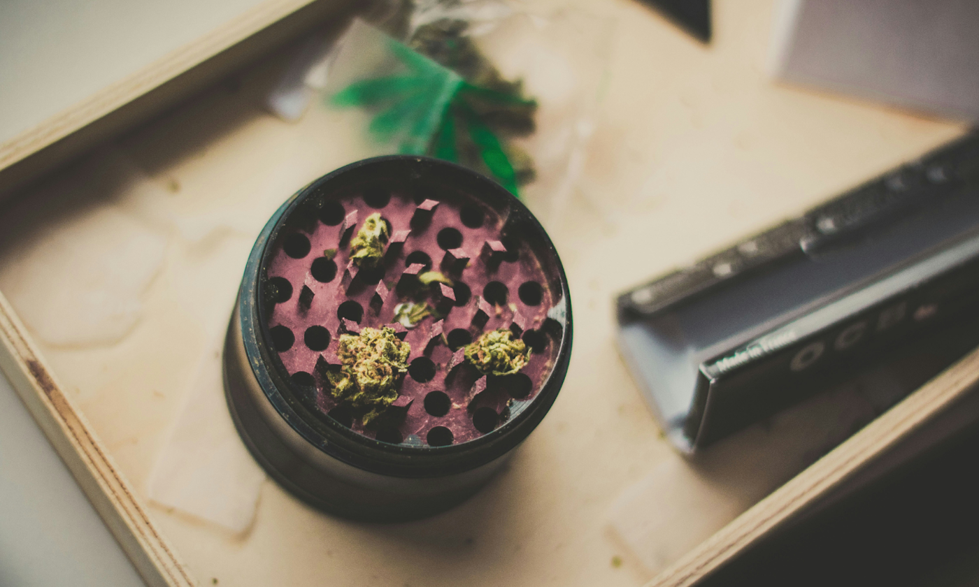 How to Collect Kief from Cannabis Using Grinders, Boxes, and Screens
