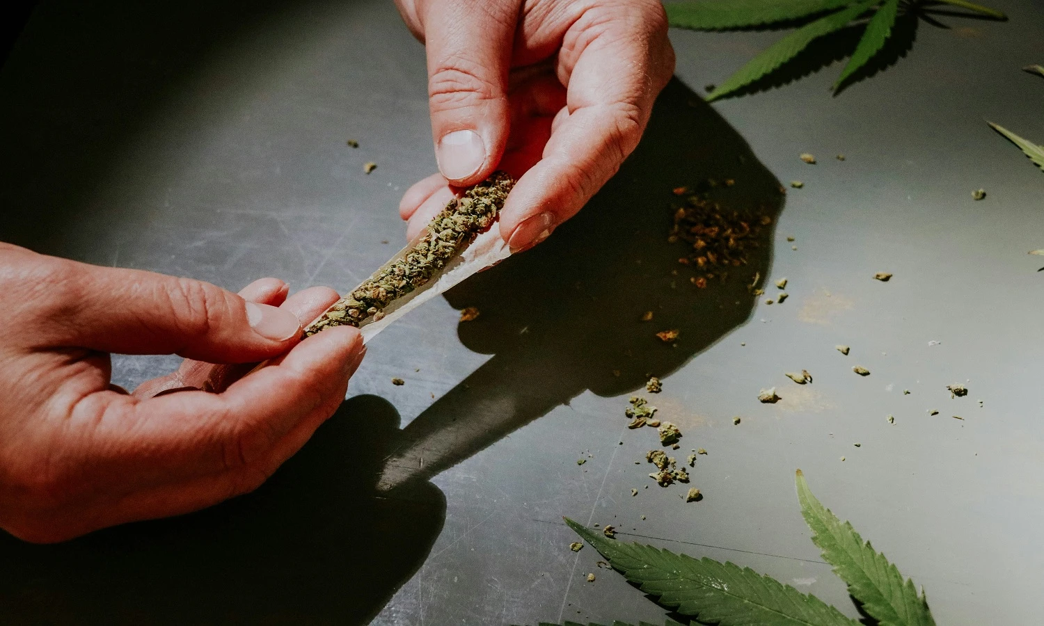 Joint Rolling Machine Guide for Perfect Rolls Every Time