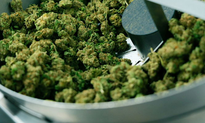 Cannabis Cooking Fundamentals for Making Butter, Oils and Tinctures