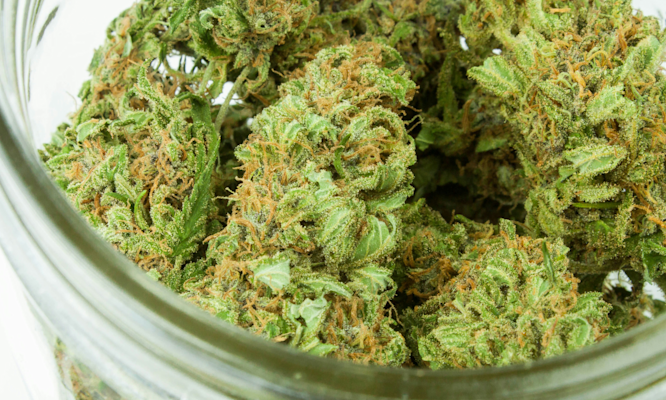 Cannabis Terms and What They Actually Mean