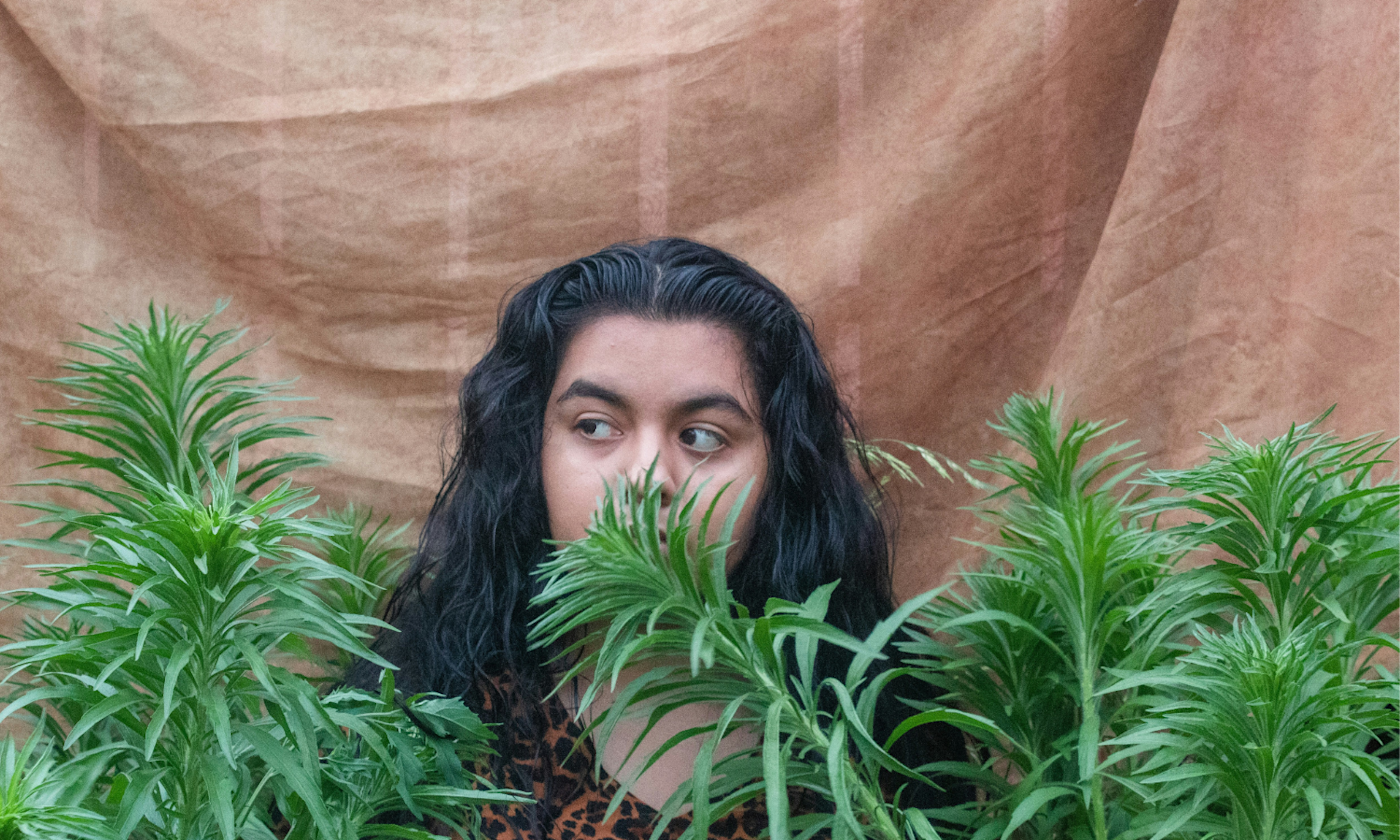 What Does Weed Smell Like? The Complete Cannabis Aroma Guide