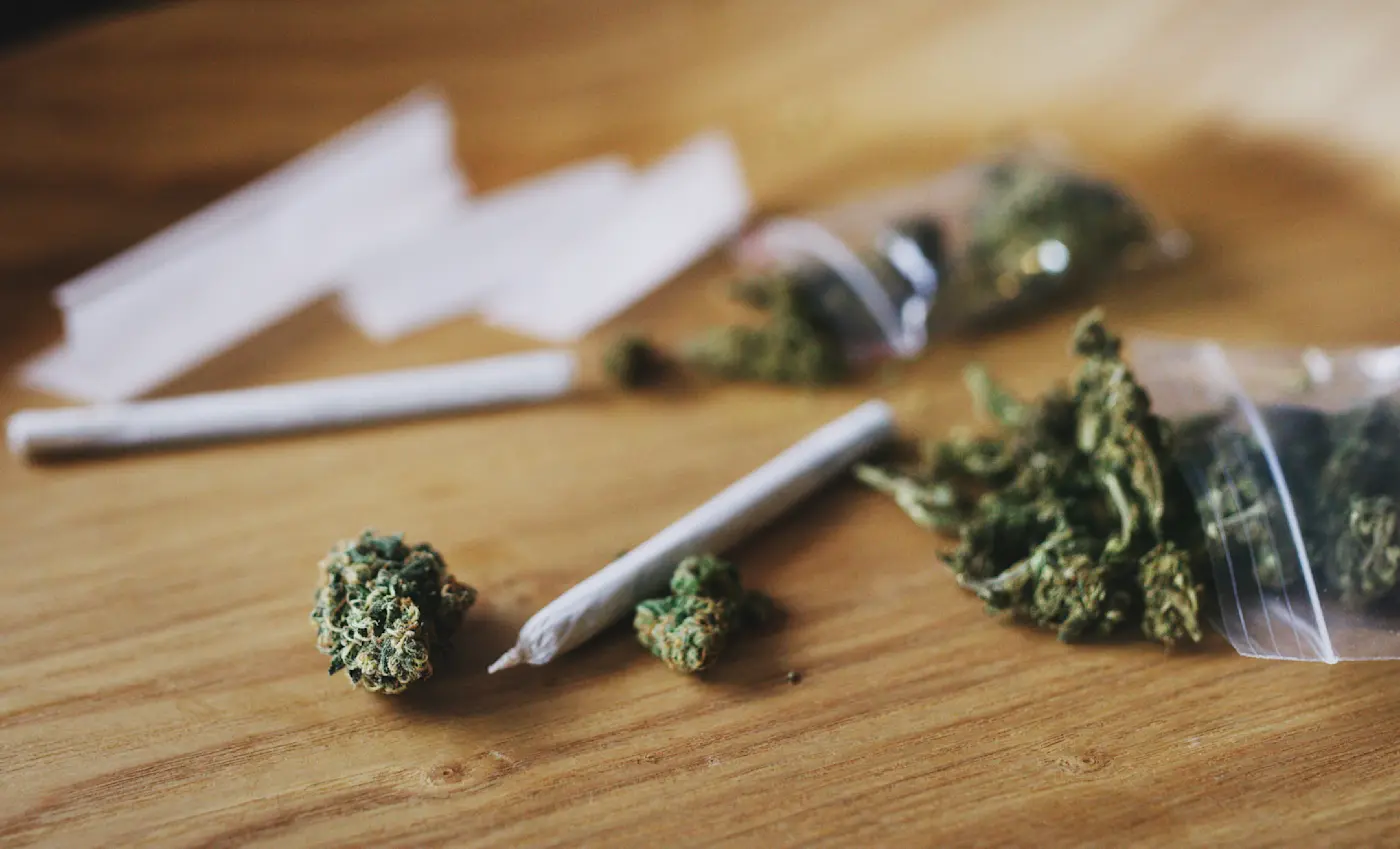 What Does Weed Smell Like? The Complete Cannabis Aroma Guide