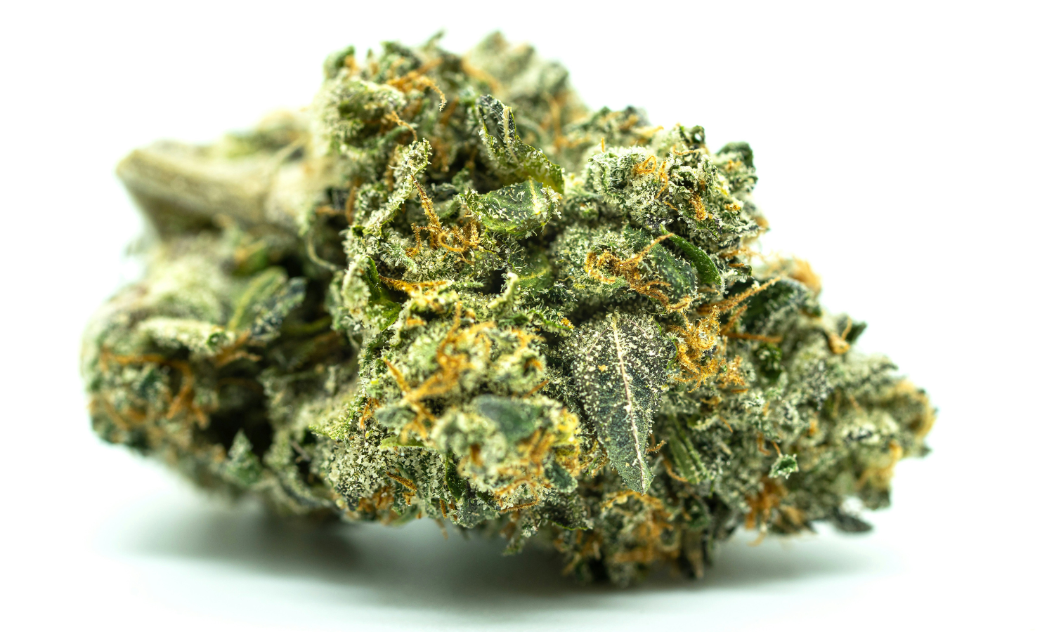 Is THCA the Same as Delta 9? The Complete Breakdown