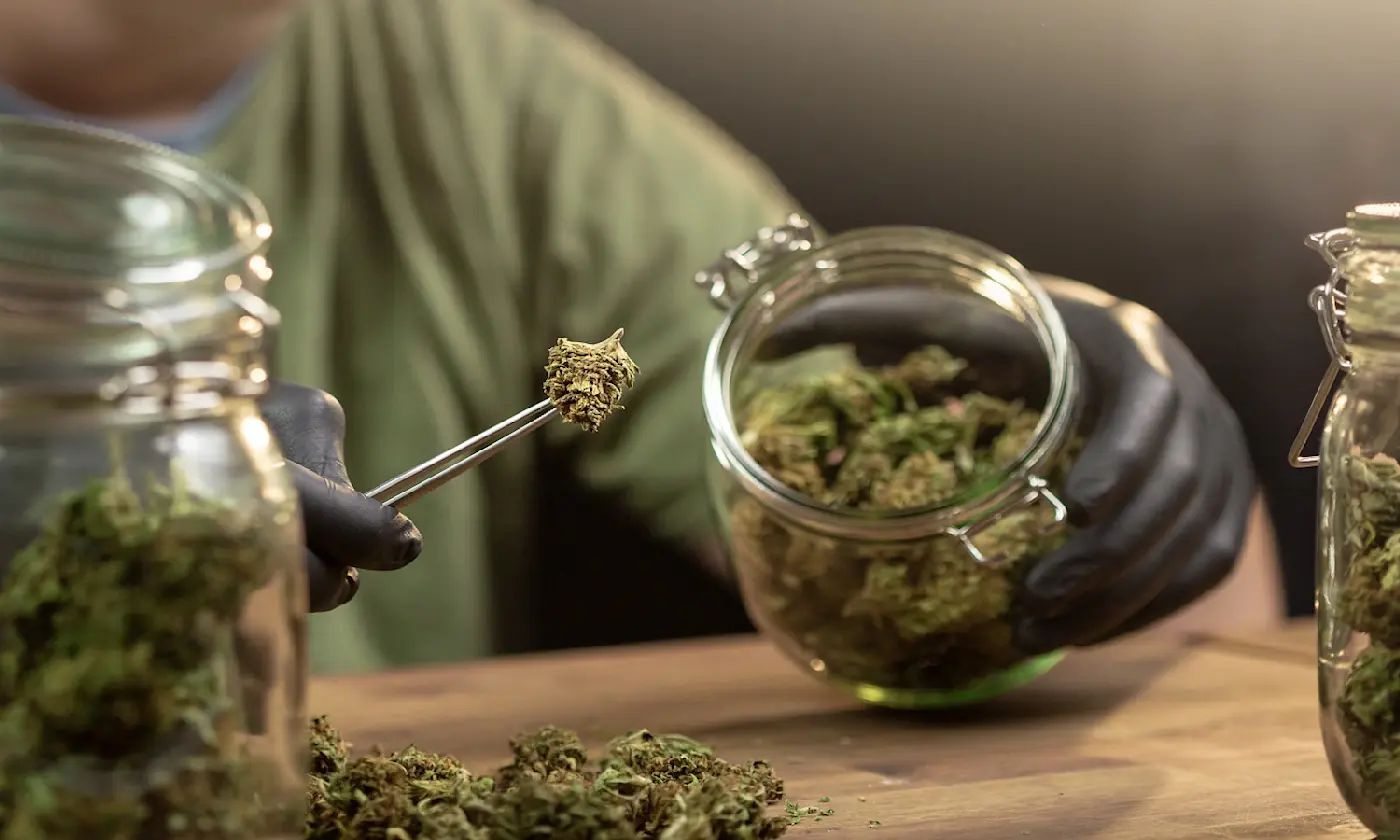 How to Store Weed for Maximum Freshness and Potency