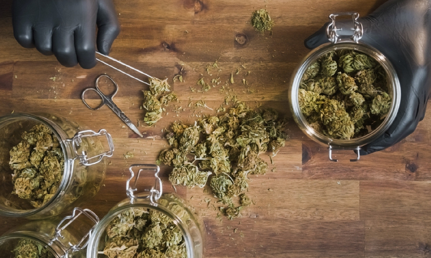 Cannabis Storage Humidity Guide to Keep Your Stash Fresh for Months