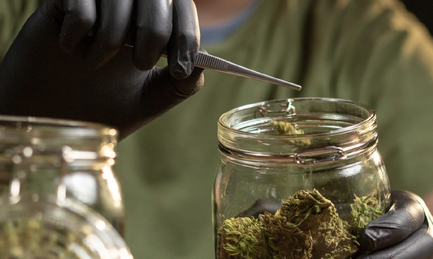How Long Weed Really Lasts and Storage Fixes That Keep It Fresh for Months