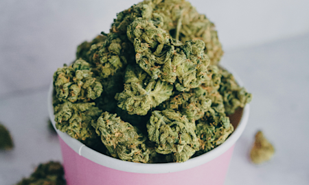 Ice Cream Cake Strain Complete Guide to Effects and Flavor