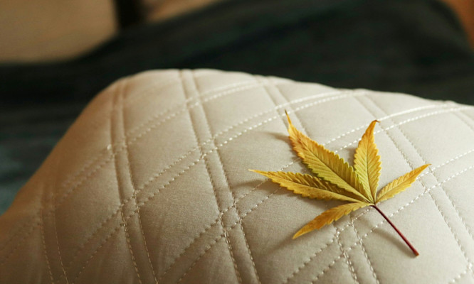 How to Stop Couch Lock and Stay Energized After Cannabis