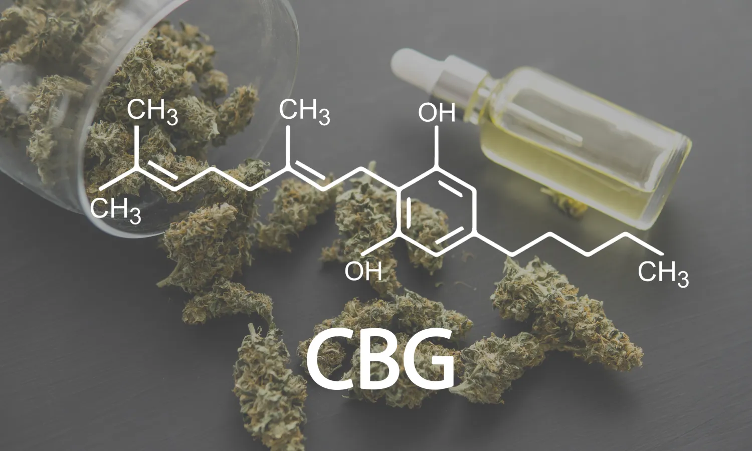 The Mother Of All Cannabinoids: A Comprehensive Guide To CBG 