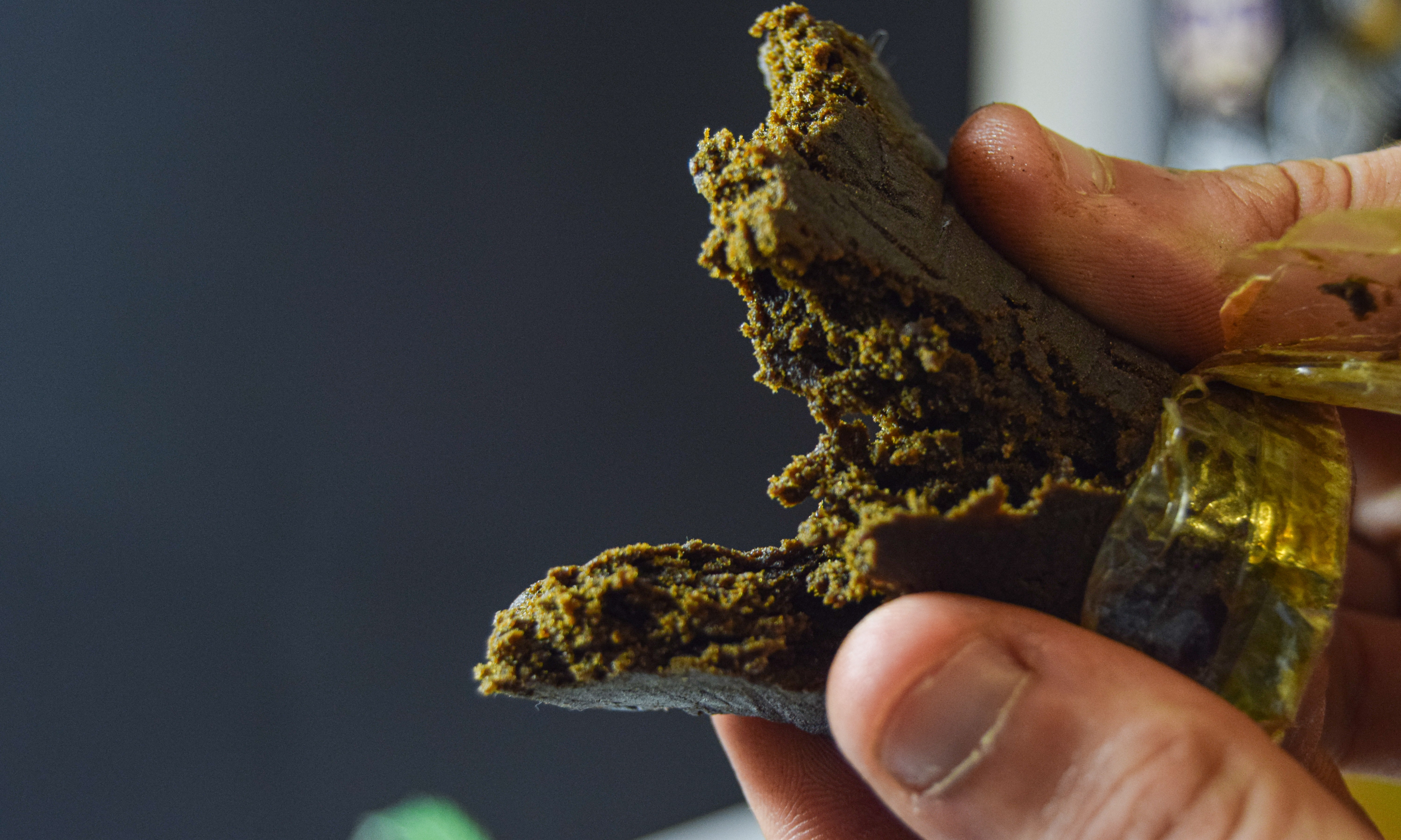 What Is Bubble Hash? How It's Different From Other Concentrates