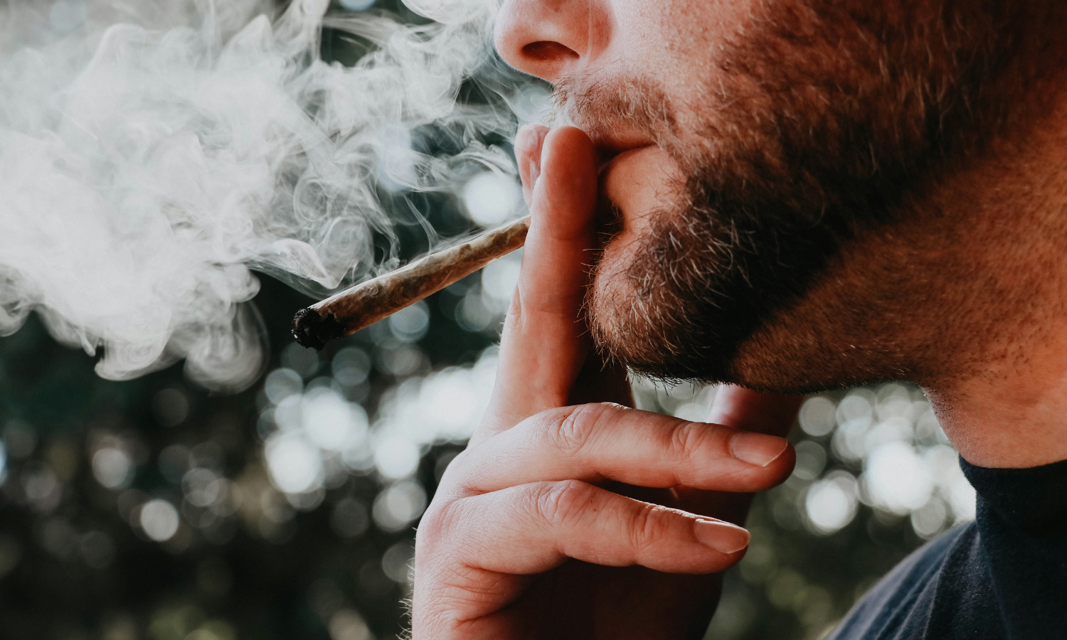 What Is THCA and How It Can Get You High