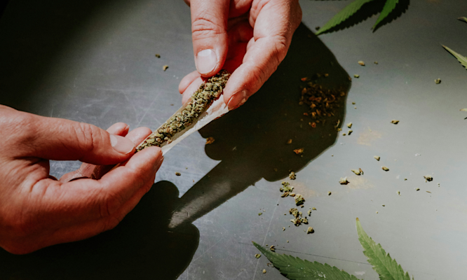 How to Roll a Perfect Filter Every Single Time