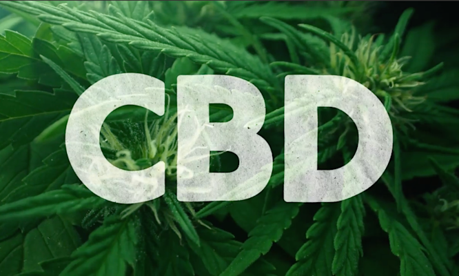 When to Take CBD Oil for the Best Results Every Day
