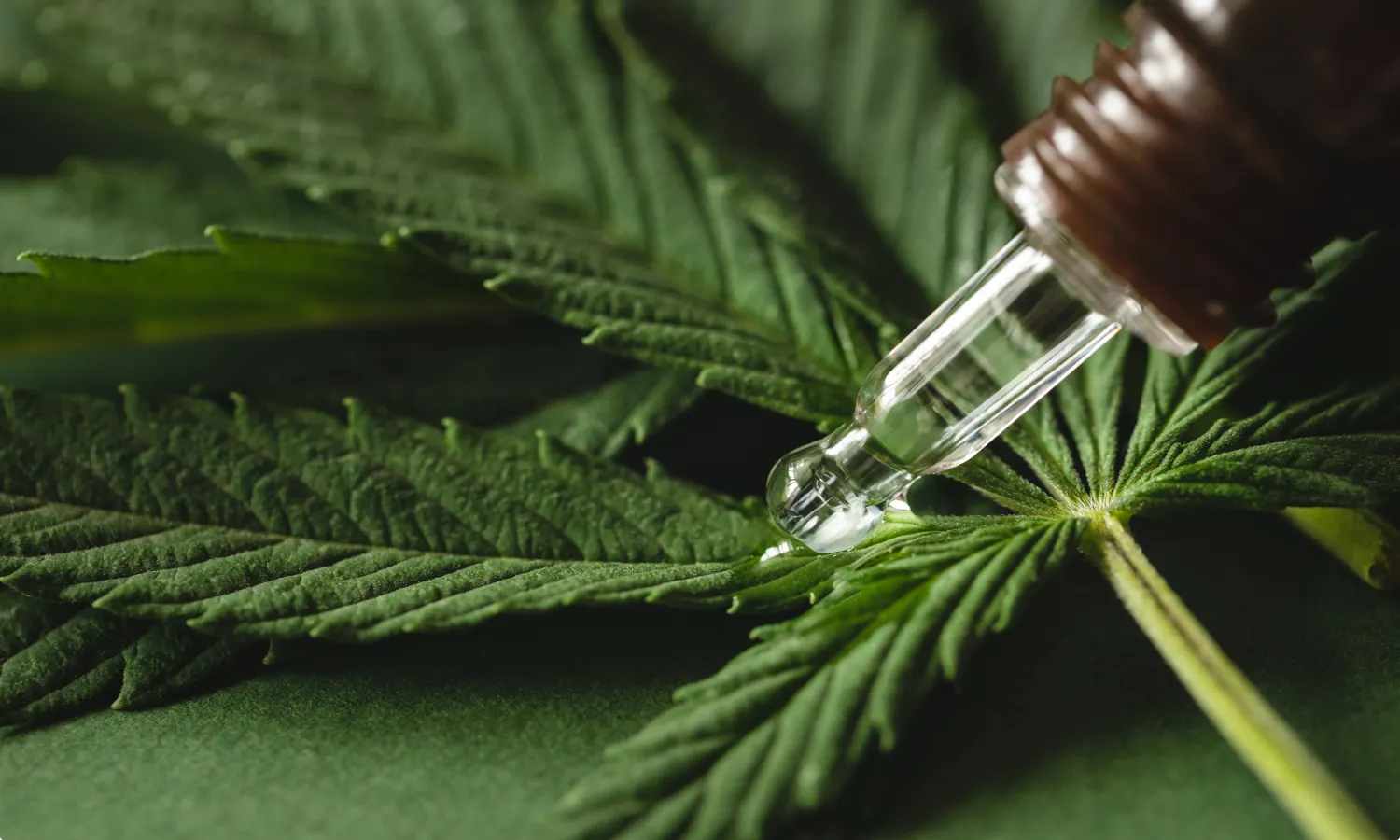 What Is CBD (Cannabidiol)? Effects, Products, and More Explained