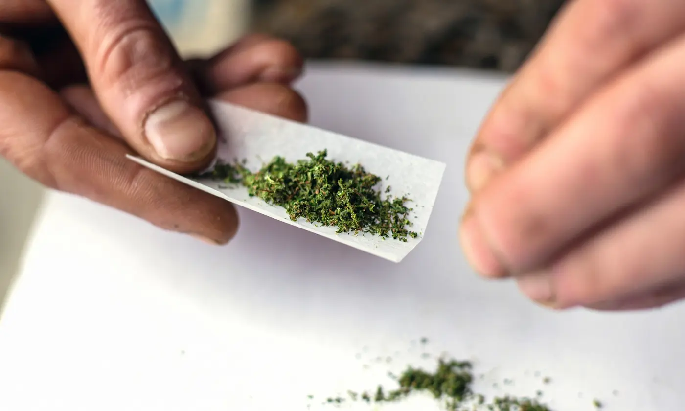 Best Free Weed Documentaries Online in 2025
