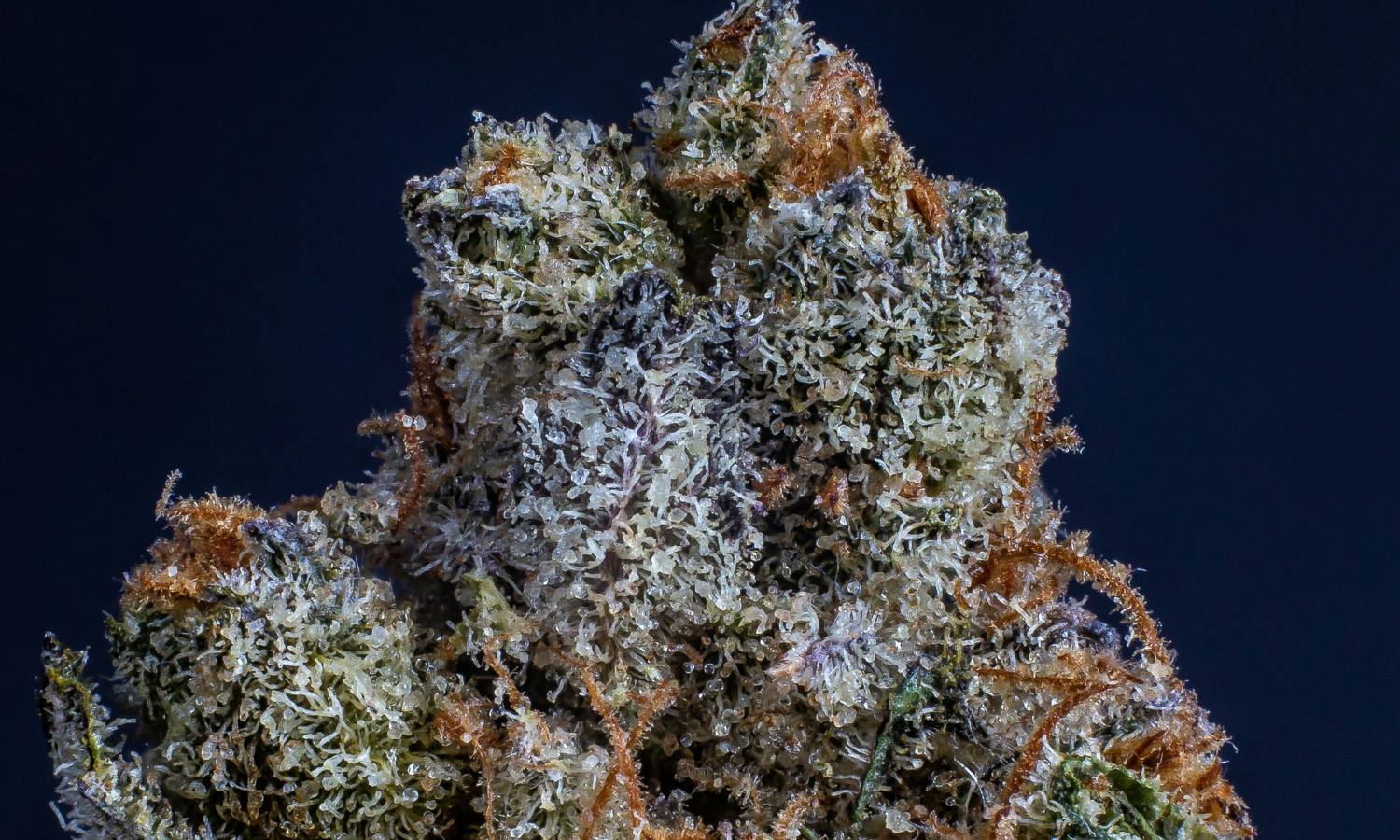 The Frosty Experience of Sub Zero Strain