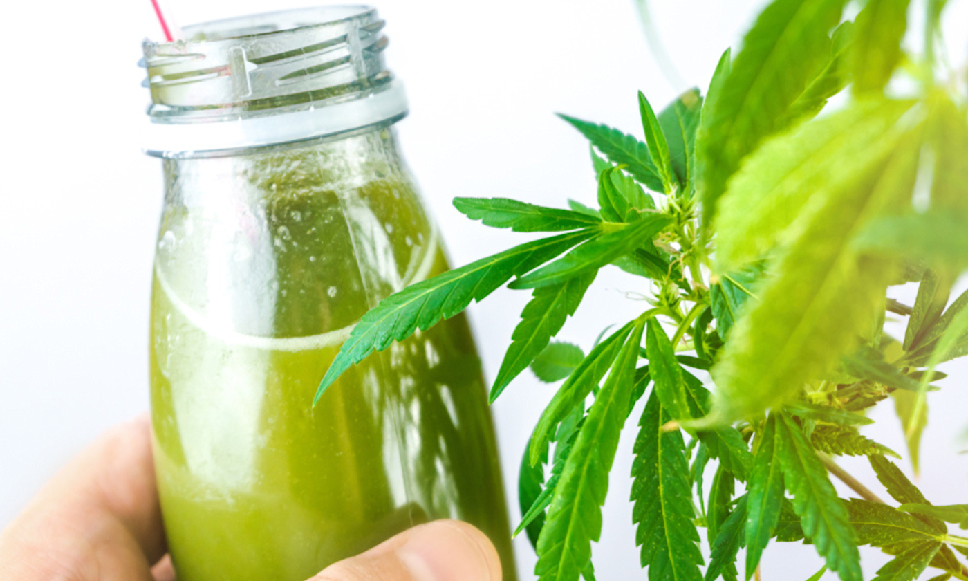 Easy 5-Step Process to Make Cannabis Juice