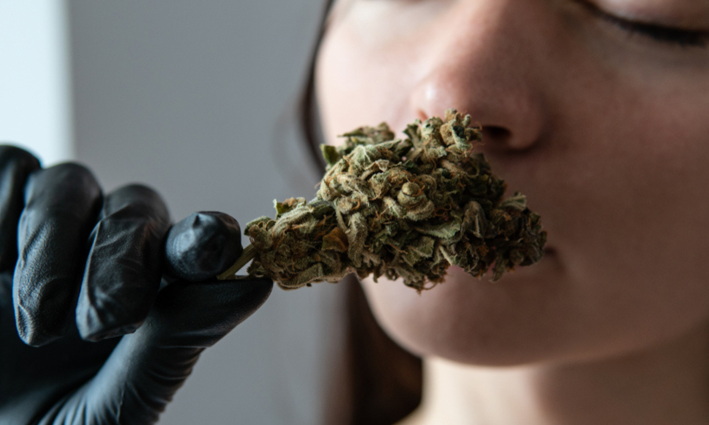 White Fuzz or Musty Smell? Your Complete Pre-Roll Safety Guide
