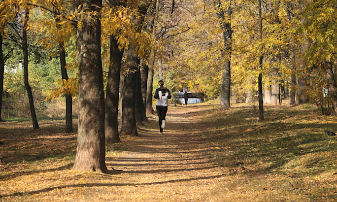 Photo by Ekaterina Novitskaya via Unsplash