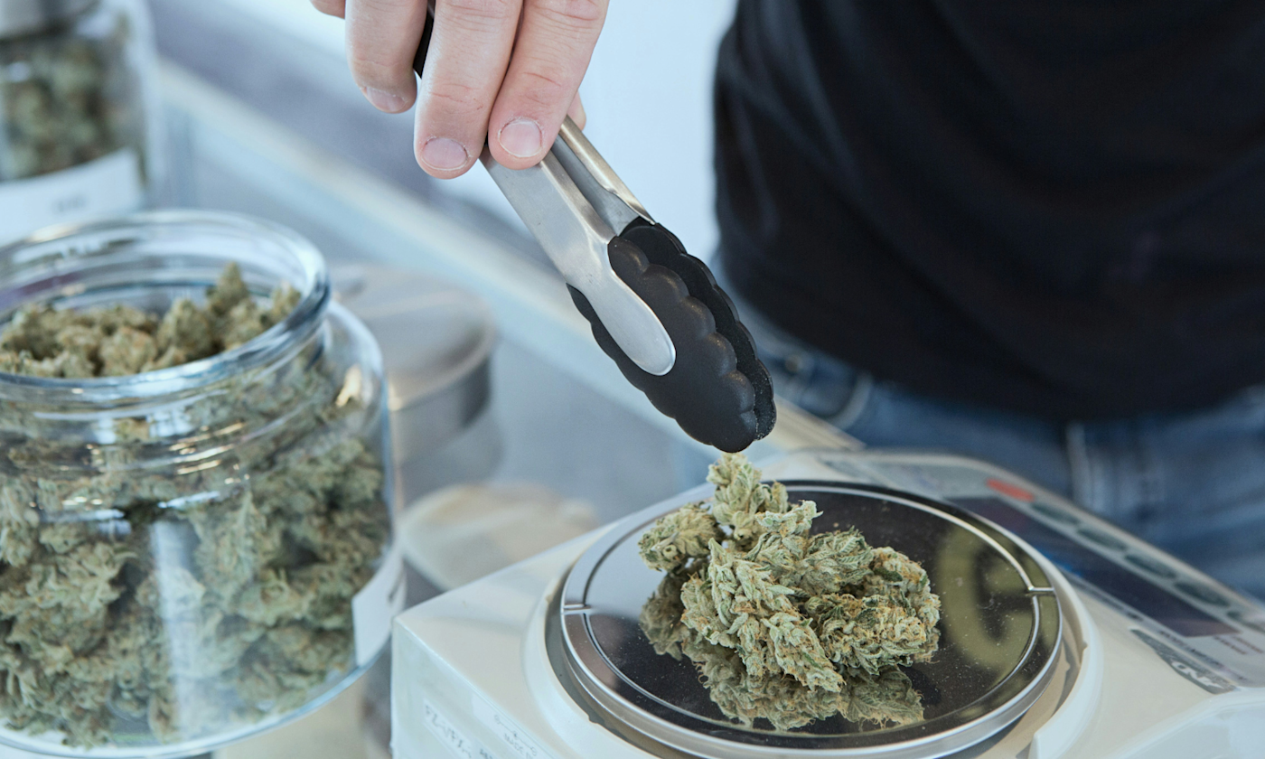 How Cannabis Makes You Happy Through Brain Chemistry and Terpenes