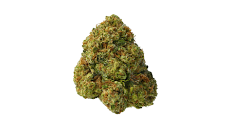 Why Cannabis Enthusiasts Love Slurricane Strain