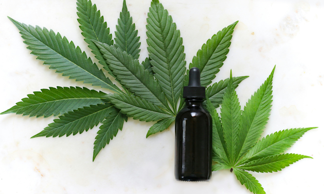 The Difference Between CBD and THC: Potency, Effects & Legality  