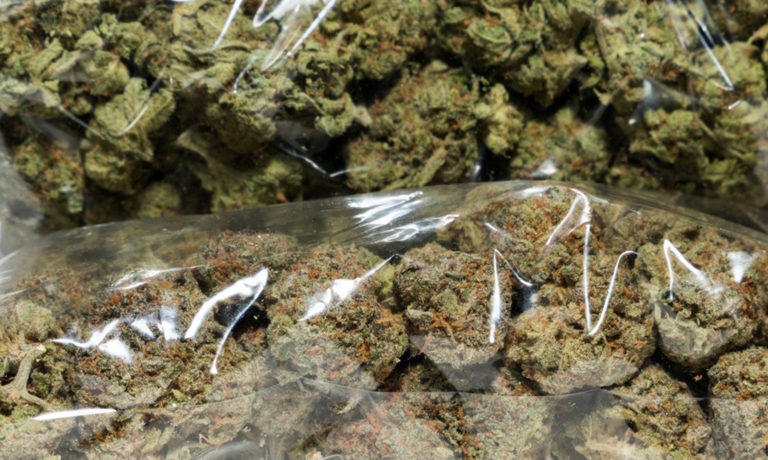 What Is a Zip of Weed and Why Buy an Ounce