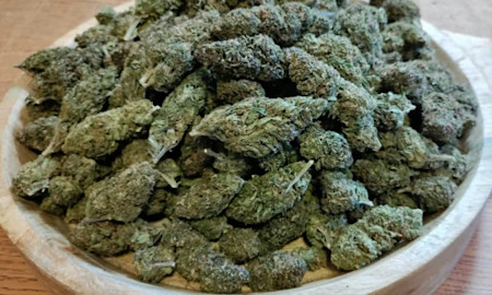 The Ultimate Guide to Cannabis Terpenes and Their Effects