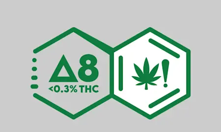 Delta 8: What Is It, Potency, & Legality FAQs