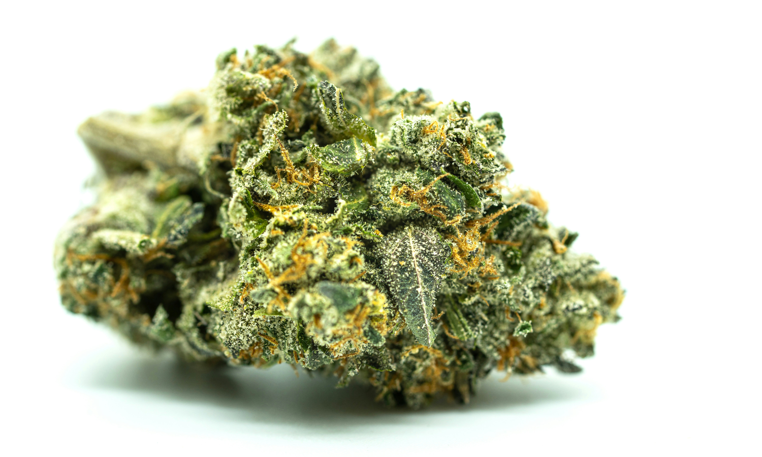 What Is Considered High THC? Weed Potency Guide