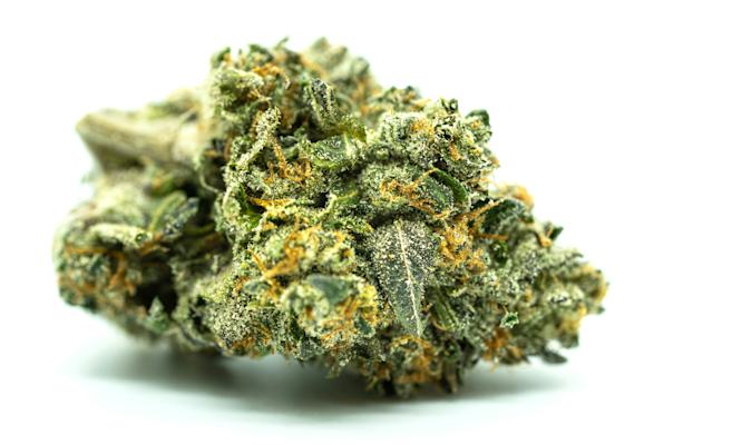 What Is Considered High THC? Weed Potency Guide for Cannabis Consumers