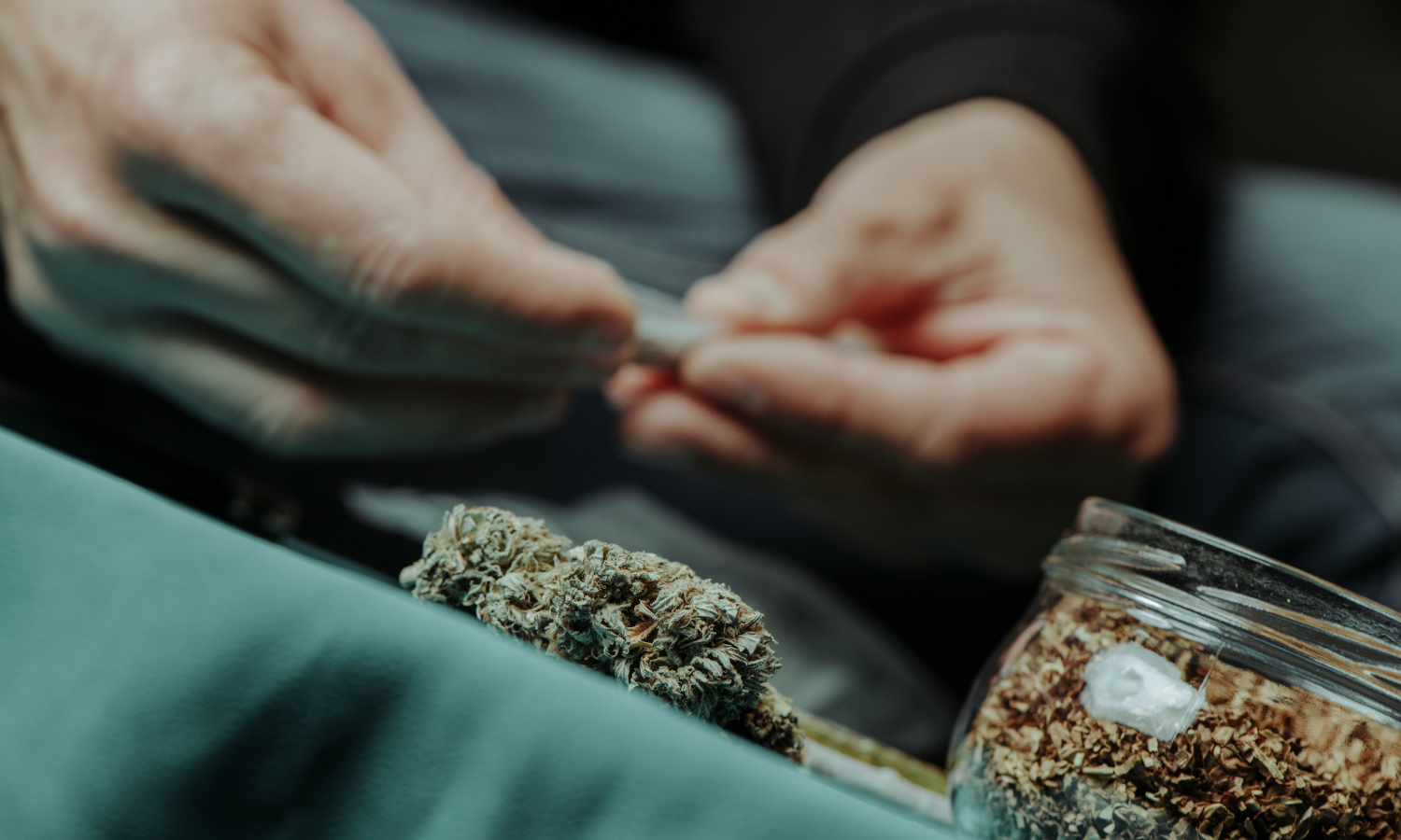 What Makes Oreoz One of the Most Sought-After Strains