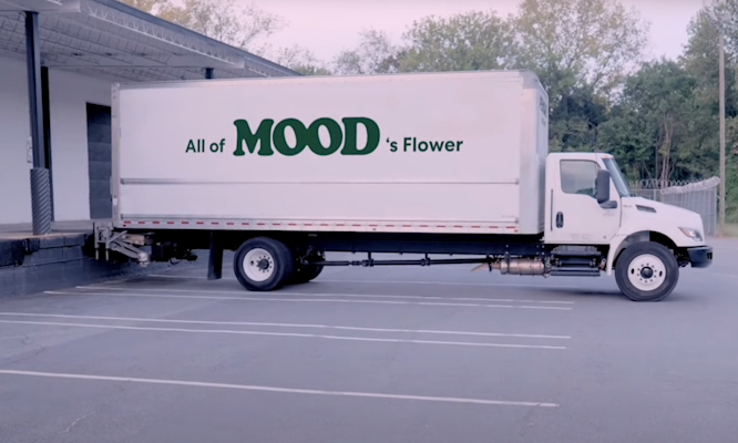 Three Cheers for Three Years: How Mood Has Grown With You