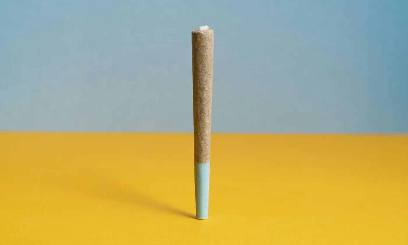 Edibles vs. Smoking Weed: Which One Is Right for You?