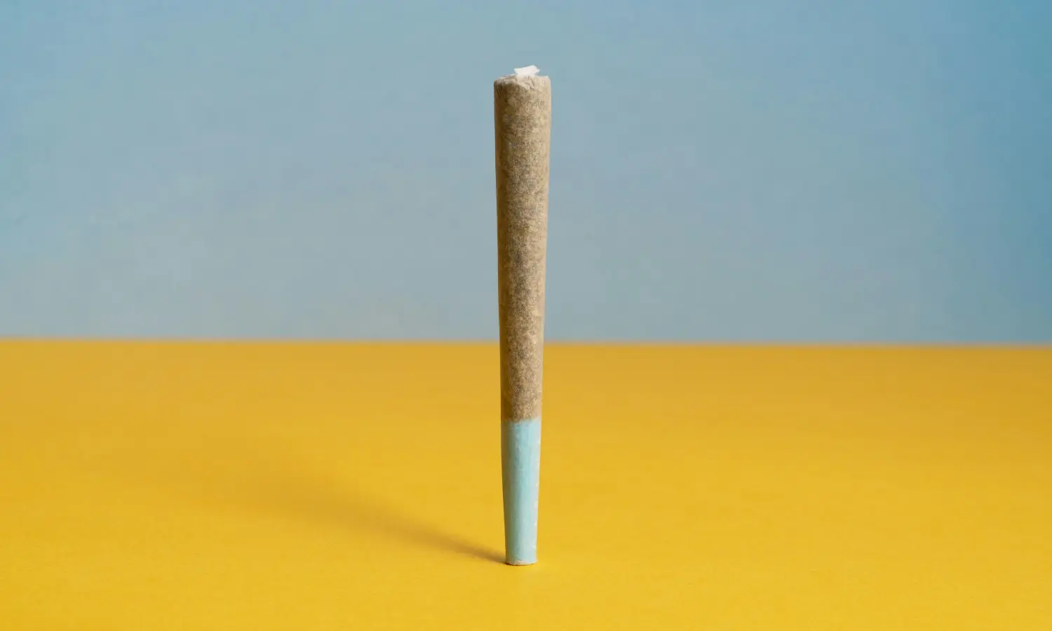 Ultimate Backwood Buying Guide: Flavors to Prices